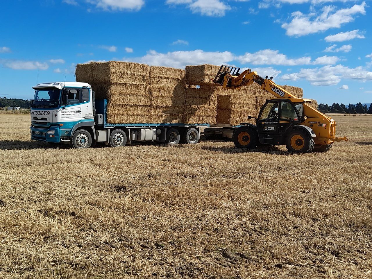 Baleage & Silage