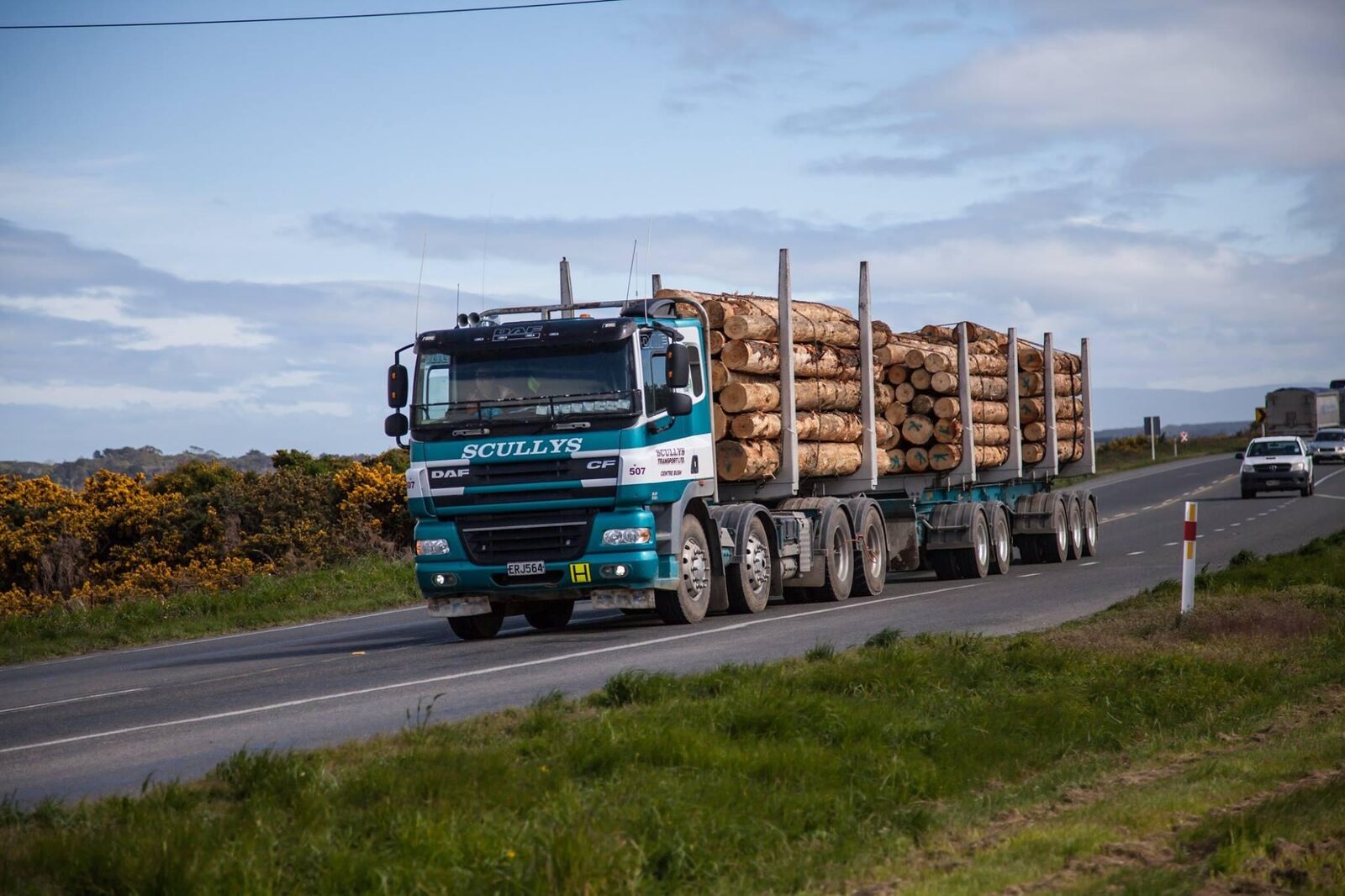 Log Cartage